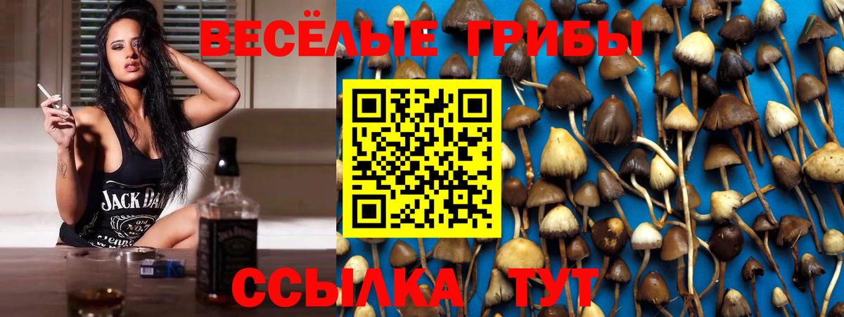 Галлюциногенные грибы прущие грибы  Вход с VPN  Псилоцибиновые грибы Cubensis  Мариинск 