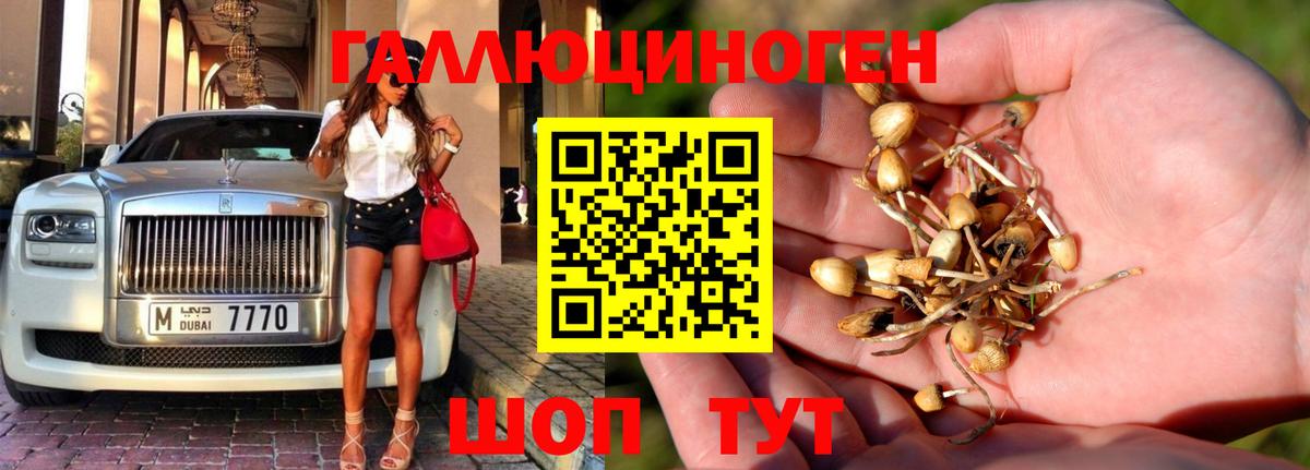 Галлюциногенные грибы MAGIC MUSHROOMS Мариинск